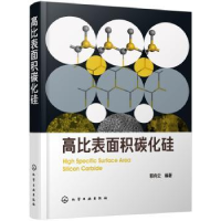 全新正版高比表面积碳化硅9787124200化学工业出版社