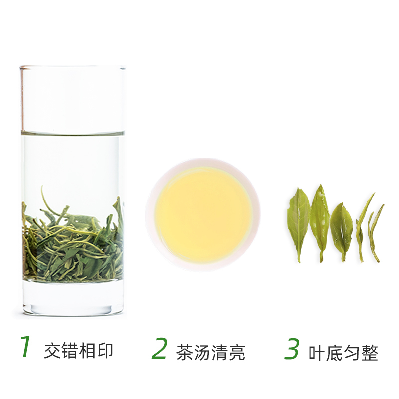 仙青特级高山云雾绿茶250g罐装(青系列)高清大图