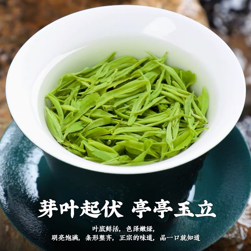 发1.5斤 绿茶茶叶毛尖茶春茶正宗浓香型原产高山嫩芽茶散装750g