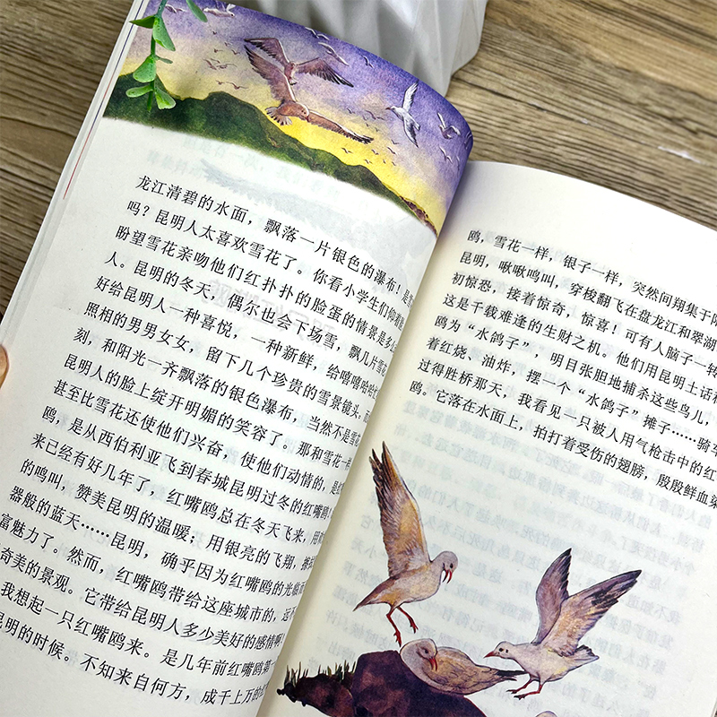 小房子[美 维吉尼亚·李·伯顿 文/图] [正版]我们的民族小学 吴然著 小学生三年级四年级必读课外书阅读书籍 人教版语高清大图