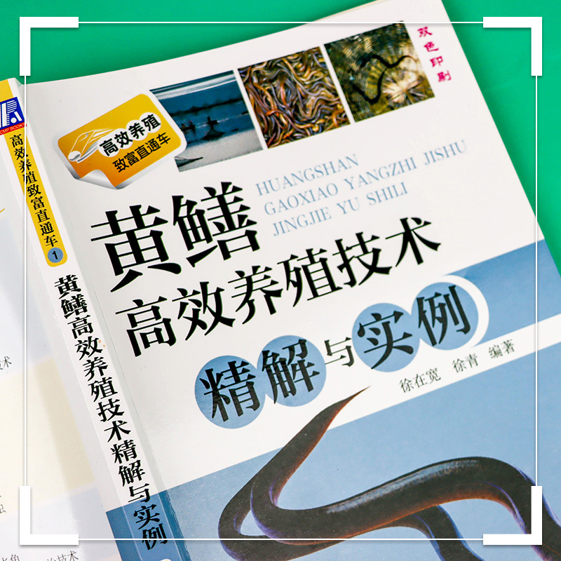 [正版]黄鳝高效养殖技术精解与实例 黄鳝高效养殖技术精解与实例 科学养殖书籍 黄鳝养殖书 水产养殖入门书籍高清大图