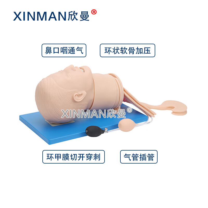 欣曼科教 高级气道管理模拟人 气管插管操作训练模型 卫勤训练模拟器材XM-QD12高清大图