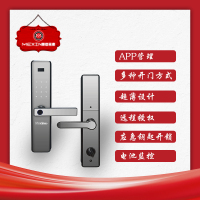 S9 智能指纹 密码 IC卡 锁 虚位密码 安全可靠 触摸上电 摩卡金