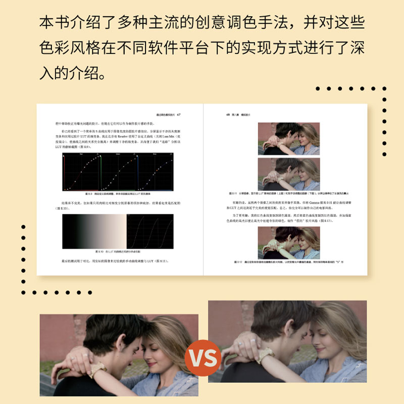 [正版]调色师手册 色彩风格宝典 影视后期书籍达芬奇调色 专业 MV商业广告等调色技巧主流创意调色手法色彩风格软件平台高清大图