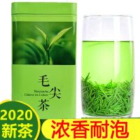 茶叶2020新绿茶浓香耐泡信阳春茶毛尖250克