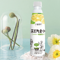 天地精华 苏打水 饮料 气泡水卡曼橘味480ml*15瓶 汽水 0糖0脂0卡饮料整箱装 小瓶装饮用水