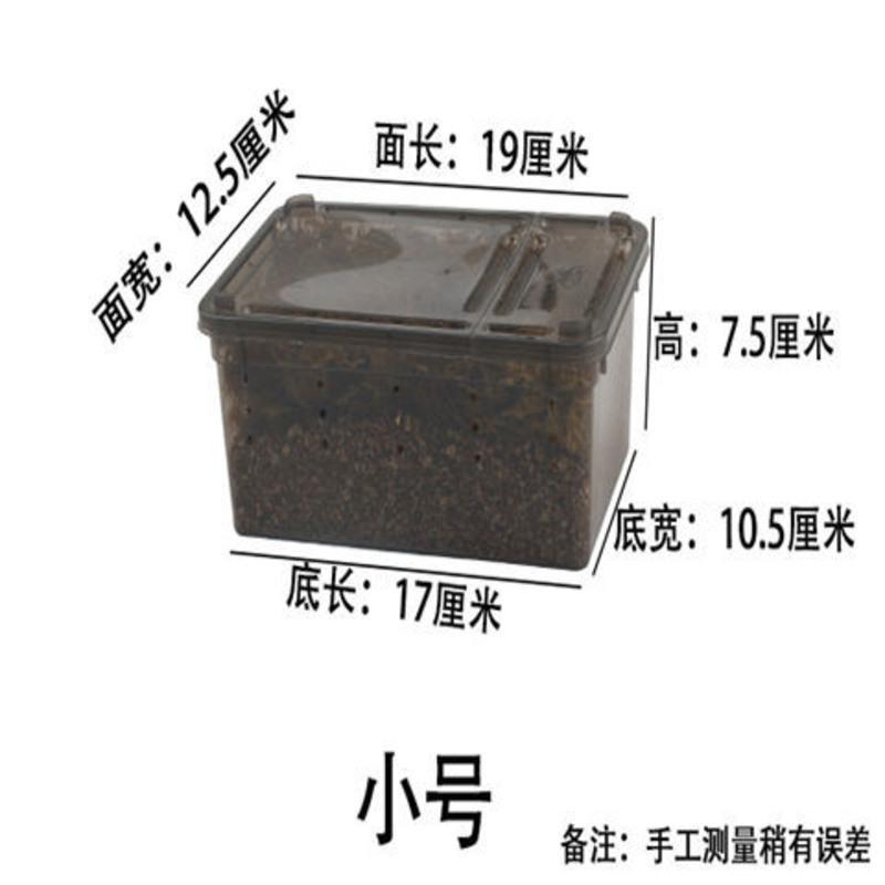 小乌龟冬眠用品苔藓垫材无菌土爬宠专用冬眠箱过冬装备保暖小房子 黑色小号箱[无菌土蛭石+苔藓+箱子]