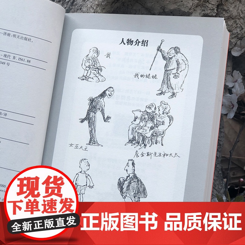 正版 女巫 罗尔德达尔典藏版亲近母语经典童书爱伦坡文学奖外国儿童文学幻想小说9-10-12岁读物小学生三四五六年级课外书高清大图