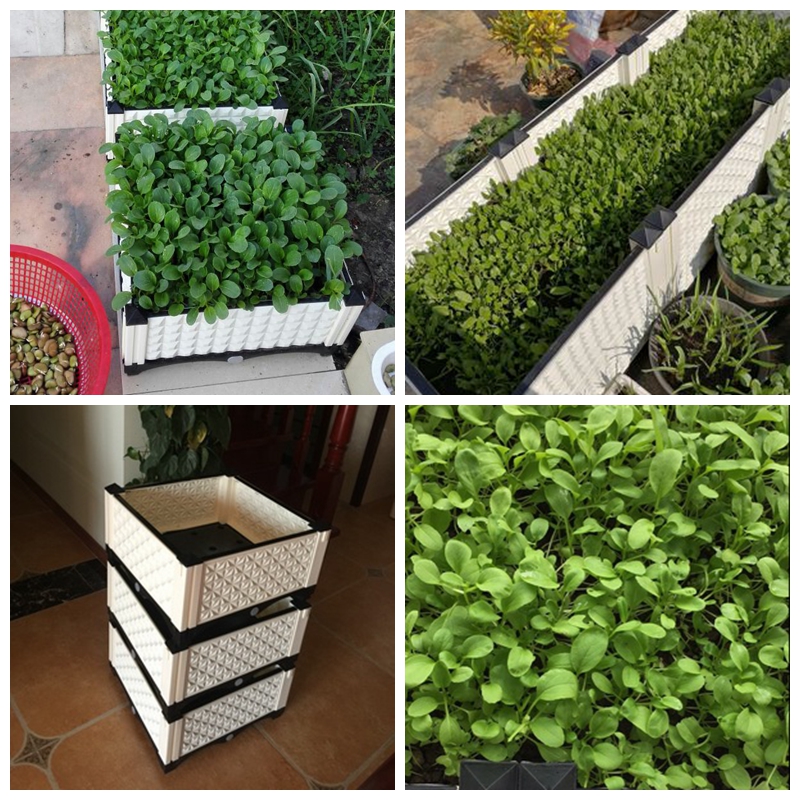 美帮汇超深阳台种菜盆长方形种植箱特大塑料花盆家用种菜箱楼顶花高清大图