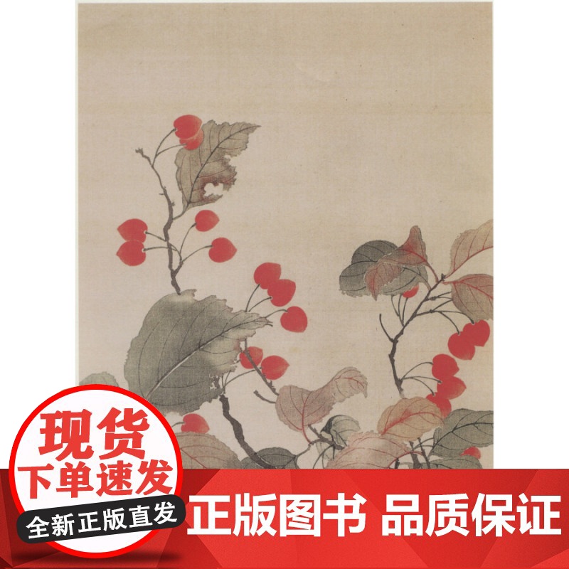 恽寿平花鸟画谱 花鸟画作品集珍藏 名家课徒稿临本 名家花鸟画集画册 花鸟画谱临摹范本 上海人民美术出版社高清大图