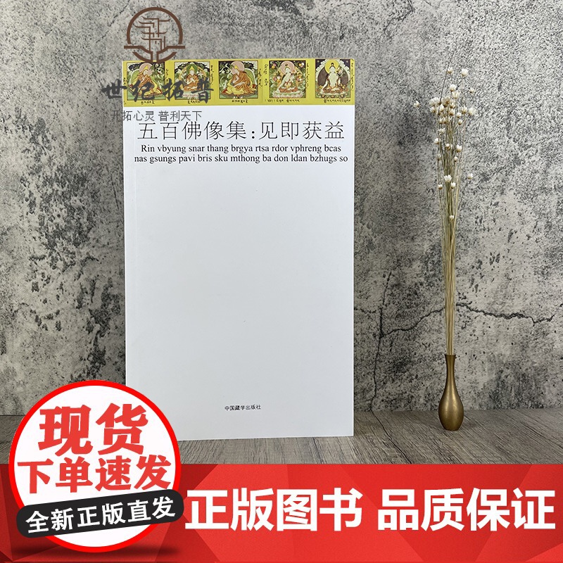 正版 五百佛像集:见即获益 /藏传佛教图像学丛书佛教尊神的图像学研究 哲学宗教宗教佛教书籍 中国藏学出版社高清大图