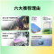 荣耀X70 Pro Max 竹韵青 8GB+512GB 8560mAh超大电池 十面硬核抗摔防水5G智能手机