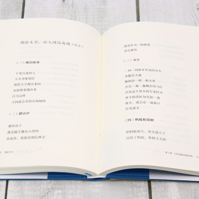 [正版]低处飞行 现象级网红诗人王计兵 海量报道 2600多万人阅读 “叛变”的外卖员用诗歌找补生活 记录普通人且匍匐