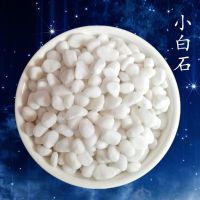 白石子彩色石子五彩石多肉铺面石花盆石头鱼缸水培装饰七彩小石子 450克有送[实发1斤]