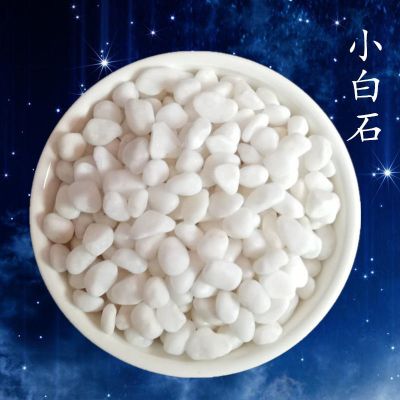 白石子彩色石子五彩石多肉铺面石花盆石头鱼缸水培装饰七彩小石子 450克有送[实发1斤]
