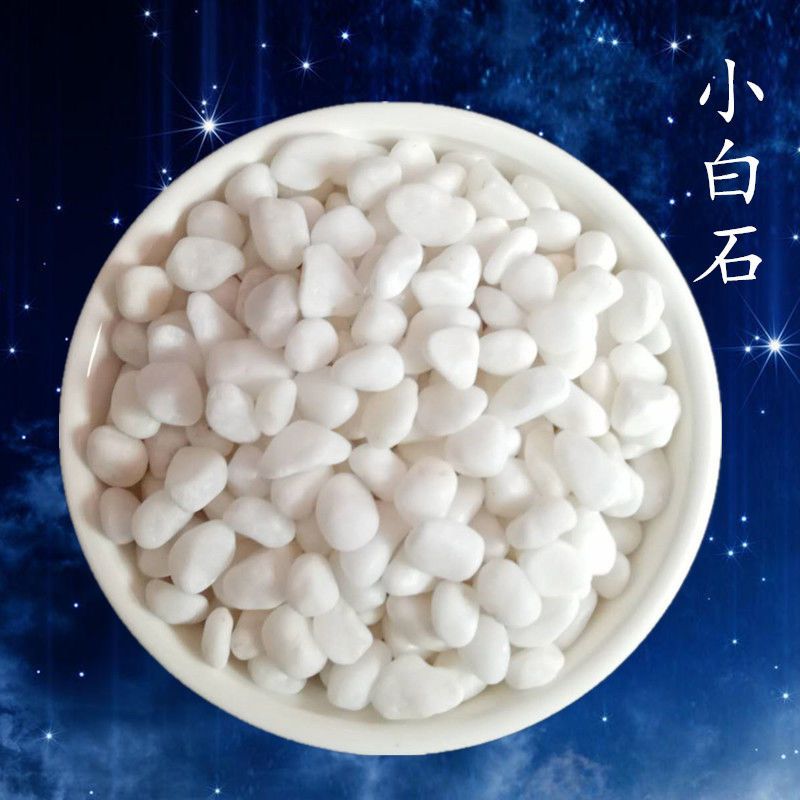 白石子彩色石子五彩石多肉铺面石花盆石头鱼缸水培装饰七彩小石子 450克有送[实发1斤]