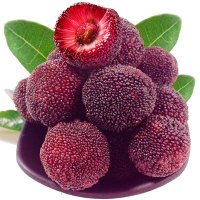 正宗仙居杨梅约3kg 6A 新鲜东魁杨梅水果特产现摘现发