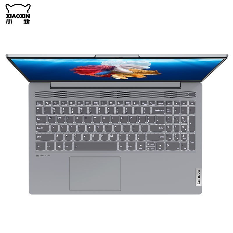 联想(Lenovo)小新15 2020款 15.6英寸轻薄办公笔记本电脑(Intel I7 1065G7 16GB 512GB固态 MX350_2G独显 W10H 银色)