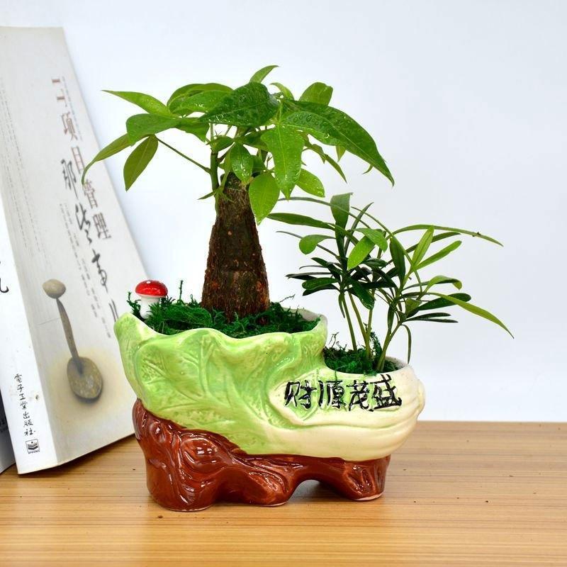 宁百辰ningbaichen园艺用品