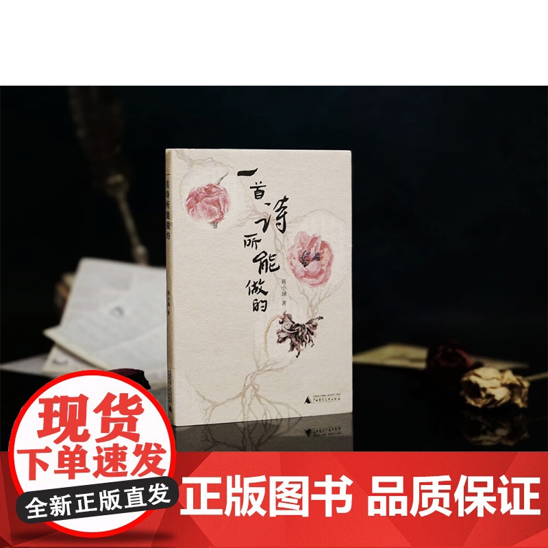 一首诗所能做的 蒋小涵 著 诗歌词曲高清大图