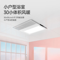 飞雕(FEIDIAO)浴霸小户型300×300吹风换气一体式暖风机卫生间浴室集成吊顶风暖晓30(浴霸需自行安装)
