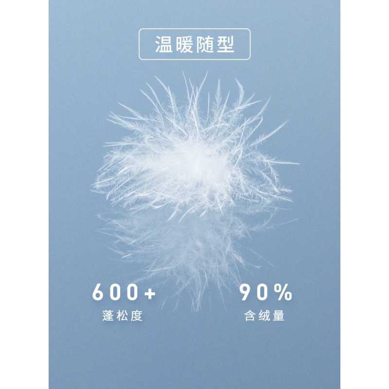 波司登2021新款羽绒马甲女纯色显瘦渐变立领内搭羽绒服
