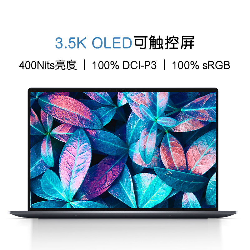 戴尔DELL XPS13-9320 13.4英寸轻薄本办公可触控防蓝光屏笔记本电脑(12代酷睿i7-1260P 16G 512GB 3.5K OLED EVO认证)灰