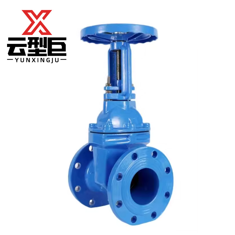 云型巨 软密封明杠闸阀 Z41X-16/DN125 个高清大图