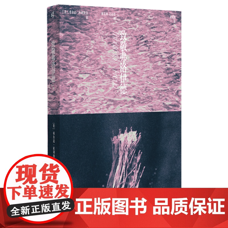 新民说· 致敬弗洛伊德 [ 美]希尔达·杜利特尔 著 精神分析 心理学 心理咨询 广西师范大学出版社高清大图