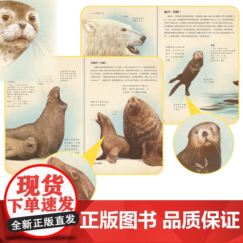 [中信书店]动物笔记 神秘的海洋动物 6-12岁 胡安·卡洛斯·阿隆索 著 青少年科普百科知识读物高清大图