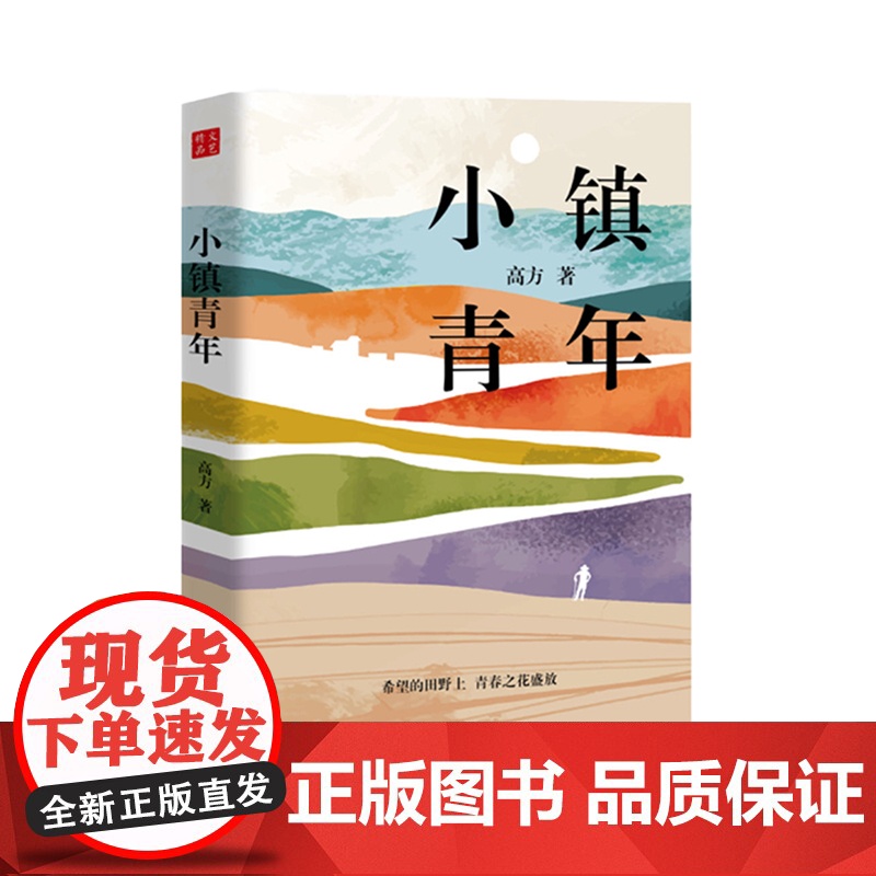 小镇青年 记录从乡村走出去的青年人回到乡村创业的故事高清大图