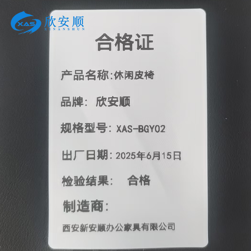 欣安顺 休闲皮椅 XAS-BGY02/把高清大图