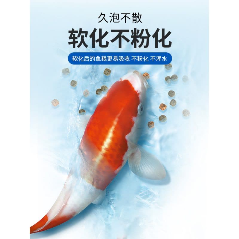 鱼粮饲料鱼食金鱼观赏鱼专用粮虾红素螺旋藻增色小颗粒鱼缸小丑鱼图片