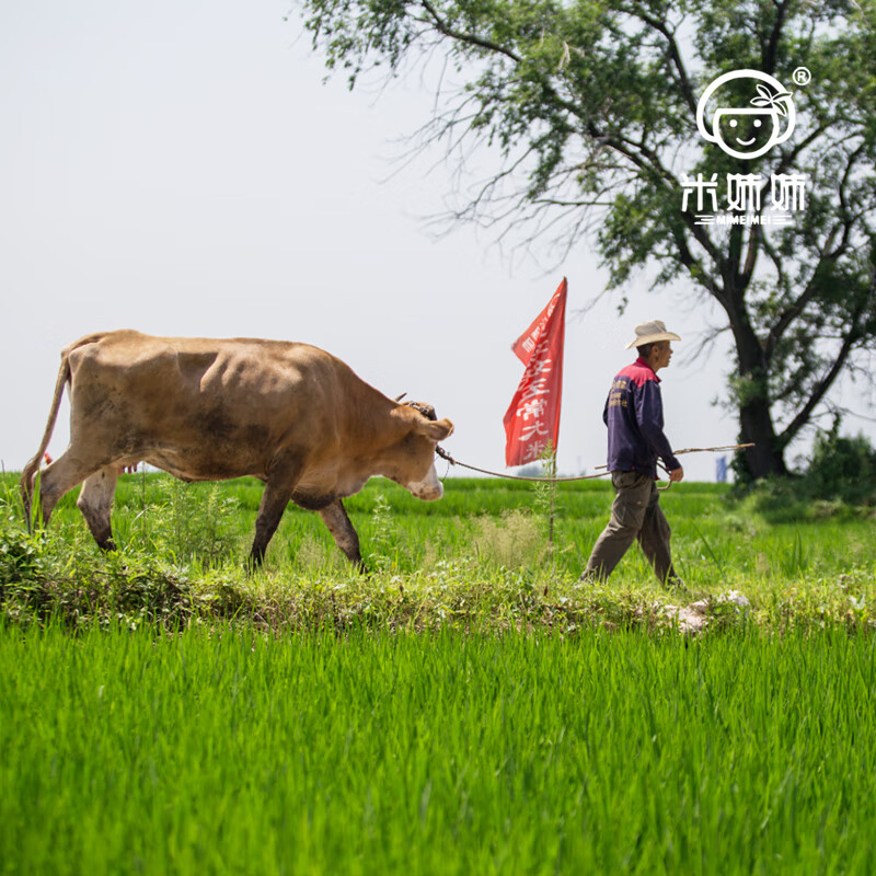 米妹妹五福稻五常大米礼盒5kg M084高清大图