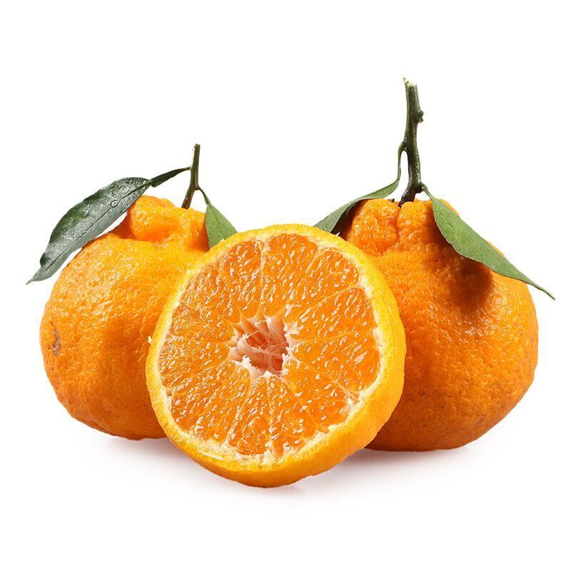 超级新品 四川丑橘5斤大果7-12个不等丑橘子不知火柑橘新鲜水果