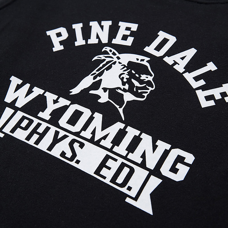 champion冠军春秋季新款男装套头印第安人印花纯棉卫衣c8k102