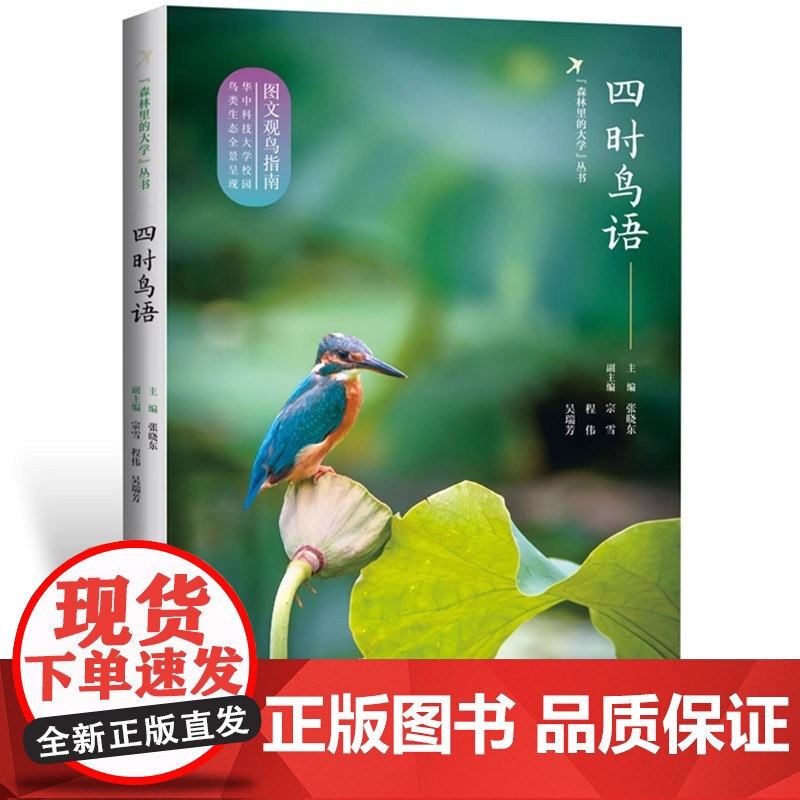 四时鸟语 华中科技大学校园鸟类生态全景呈现、图文观鸟指南 张晓东 著 华中科技大学出版社9787577206684商城正高清大图