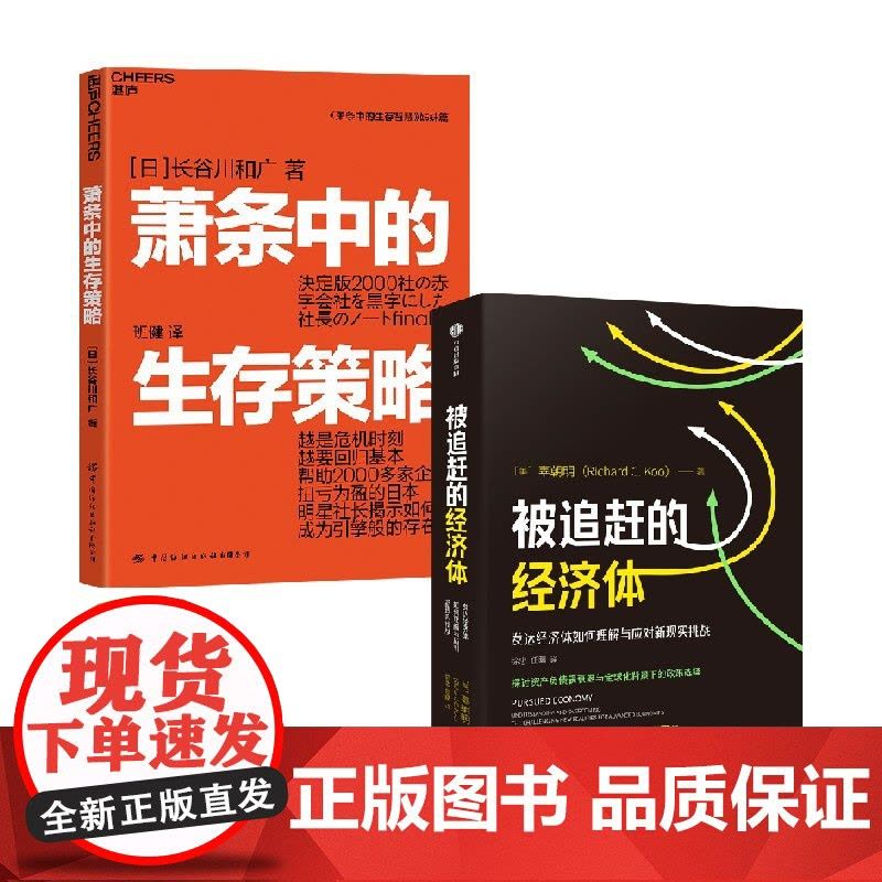 被追赶的经济体+萧条中的生存策略 辜朝明等 著 经济图片