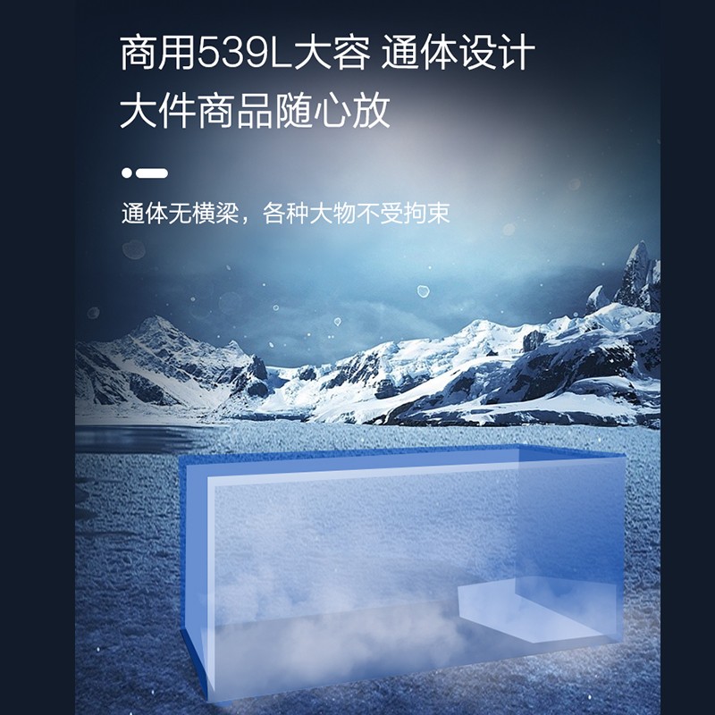 新飞商用大冷柜BC/BD-539KPC 539升顶开门变频直冷2级能效省电家电高清大图