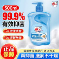 洗手液500ml*1瓶.