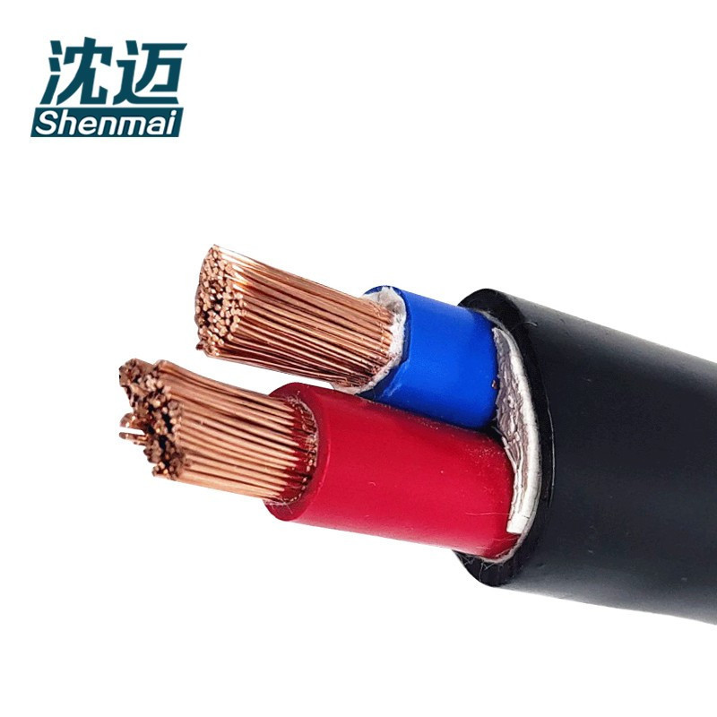 沈迈 铜芯软电缆 ZR-YJVR-0.6/1KV-2*10mm² /米高清大图
