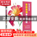 超写实的彩铅基础手绘教程