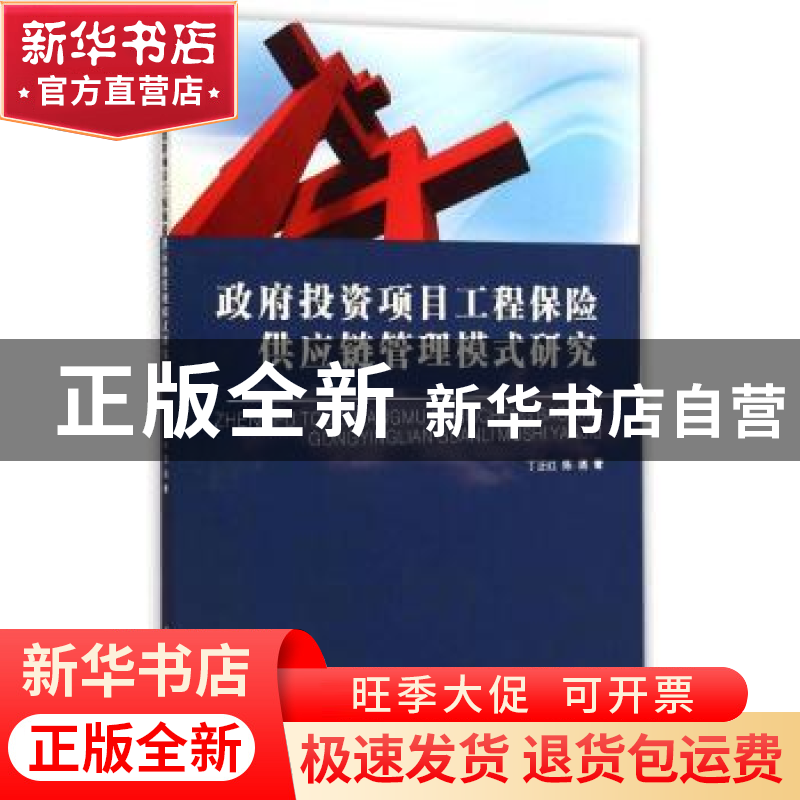 正版 政府投资项目工程保险供应链管理模式研究 丁正红,陈通著高清大图