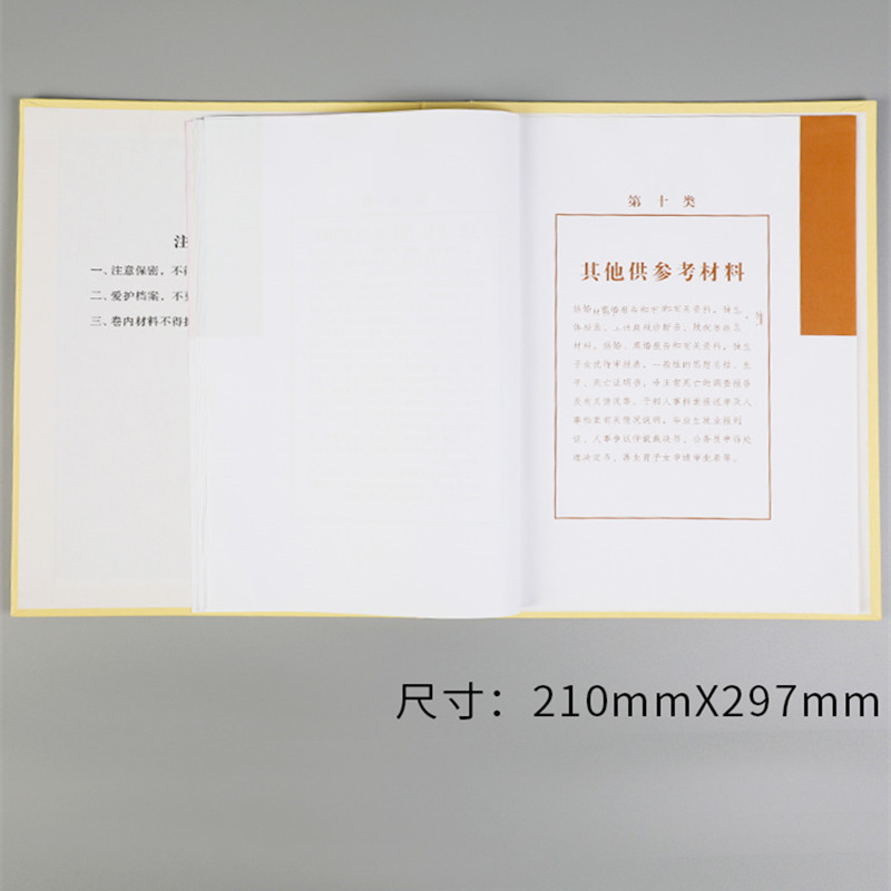 人事档案专用分 类 纸 分 类 纸*10页/套 10套