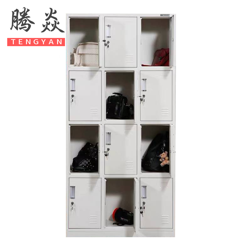 腾焱储物柜十二门台