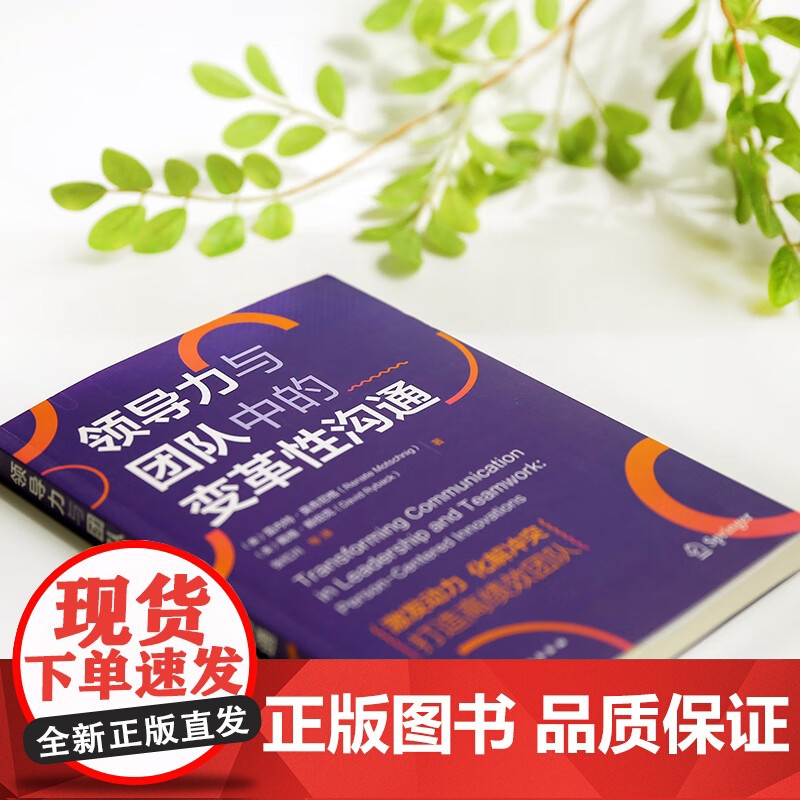 领导力与团队中的变革性沟通 雷内特·莫奇尼格 著 管理高清大图