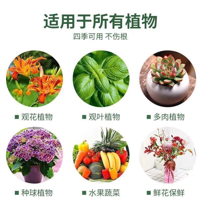 植物活力素浓缩营养液促生长发财树蝴蝶兰花卉水培绿植养花通用型-活力素;5瓶+尖嘴*5高清大图