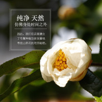 相宜本草 山茶花焕活保湿补水套装 洁面乳液霜护肤品女 山茶花五件套(洁面+水+乳+面霜+眼霜)