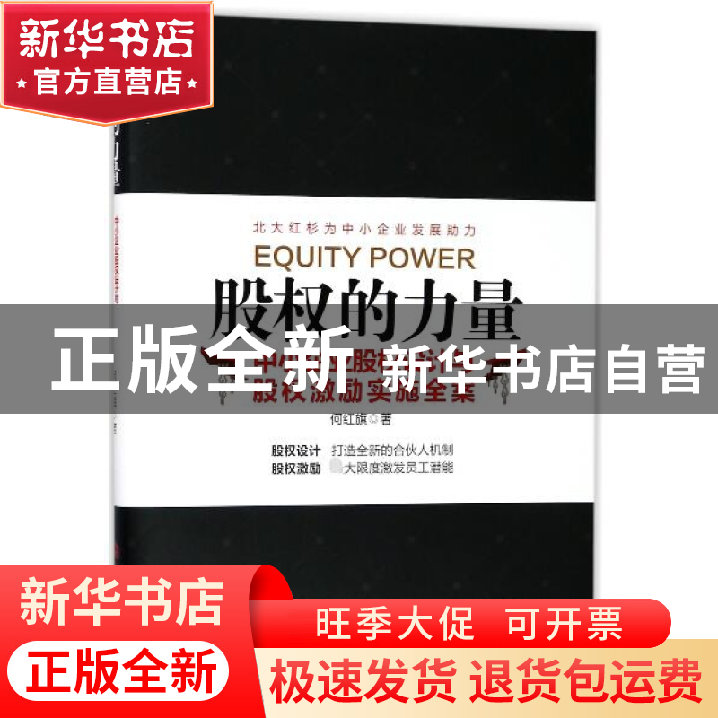 正版 股权的力量(中小企业股权设计与股权激励实施全案) 何红旗高清大图