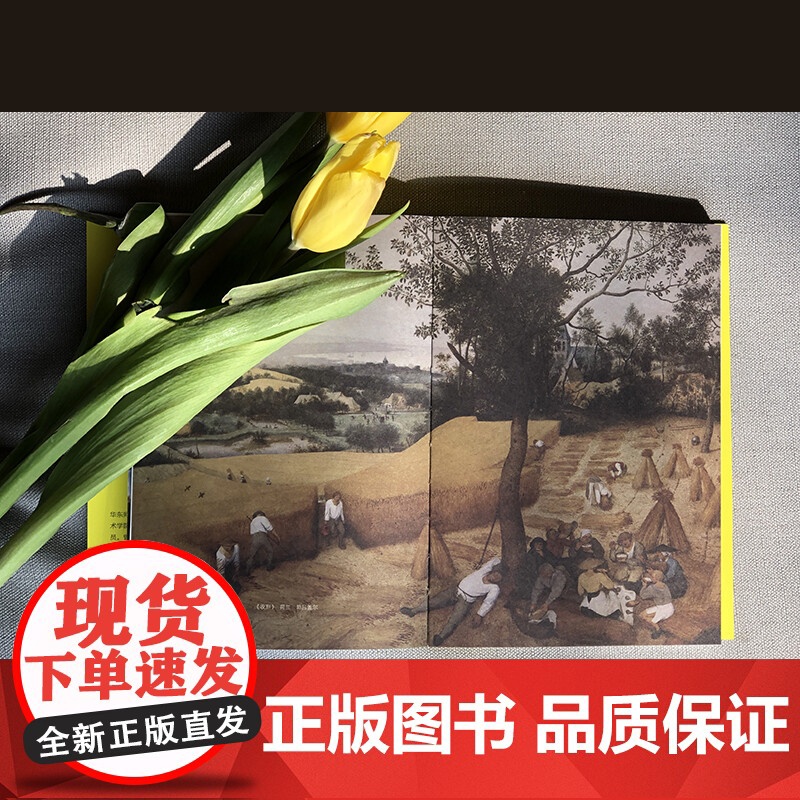 以创意的名义/美的分析/你好!芭蕾/艺术是什么极简西方美术史 冰墩墩主设计思考上海人民美术出版社高清大图